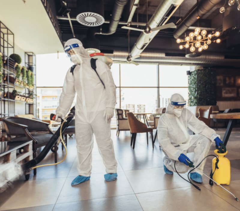 Restaurant İlaçlama